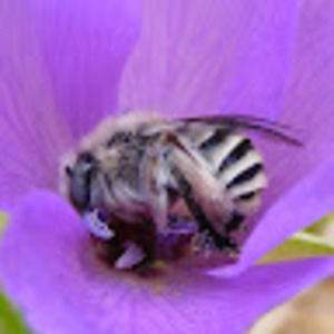 Meet your Posher, S5